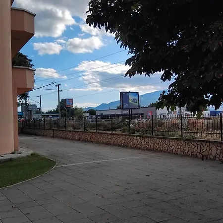 интернационал *